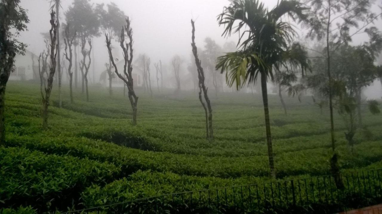 Tea Terrace Vythiri Hotel Vajanad Kültér fotó