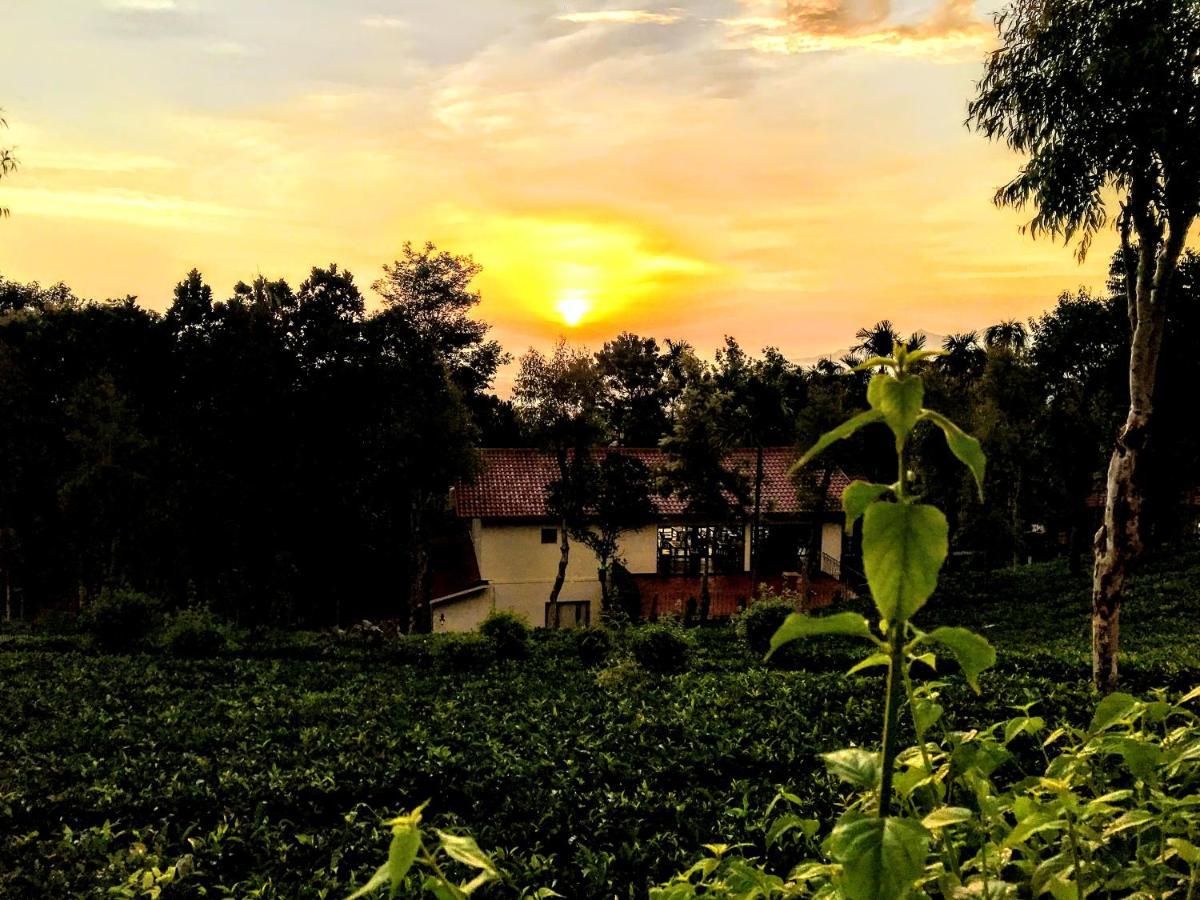 Tea Terrace Vythiri Hotel Vajanad Kültér fotó