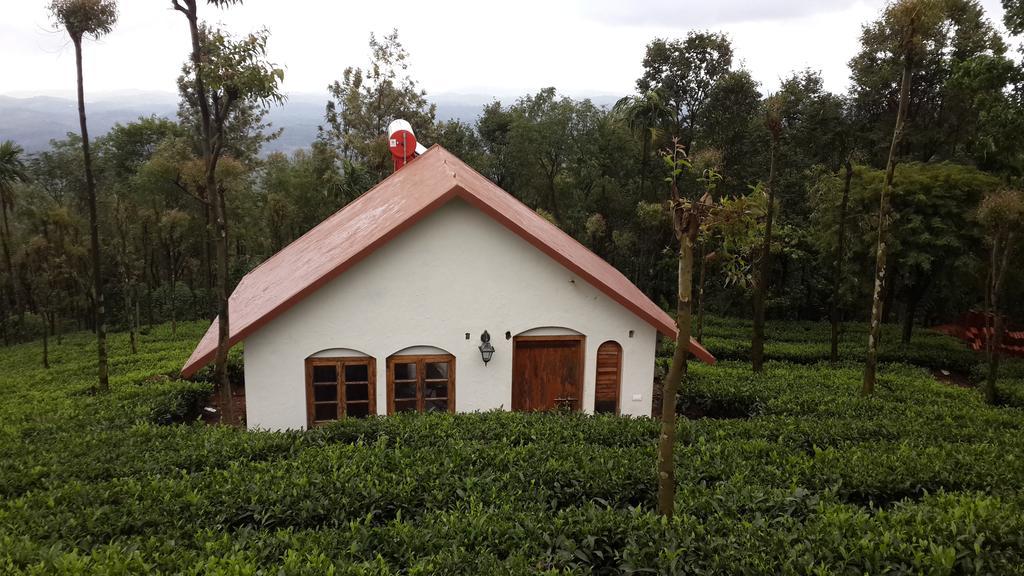 Tea Terrace Vythiri Hotel Vajanad Szoba fotó