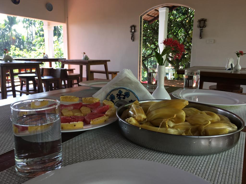Tea Terrace Vythiri Hotel Vajanad Kültér fotó